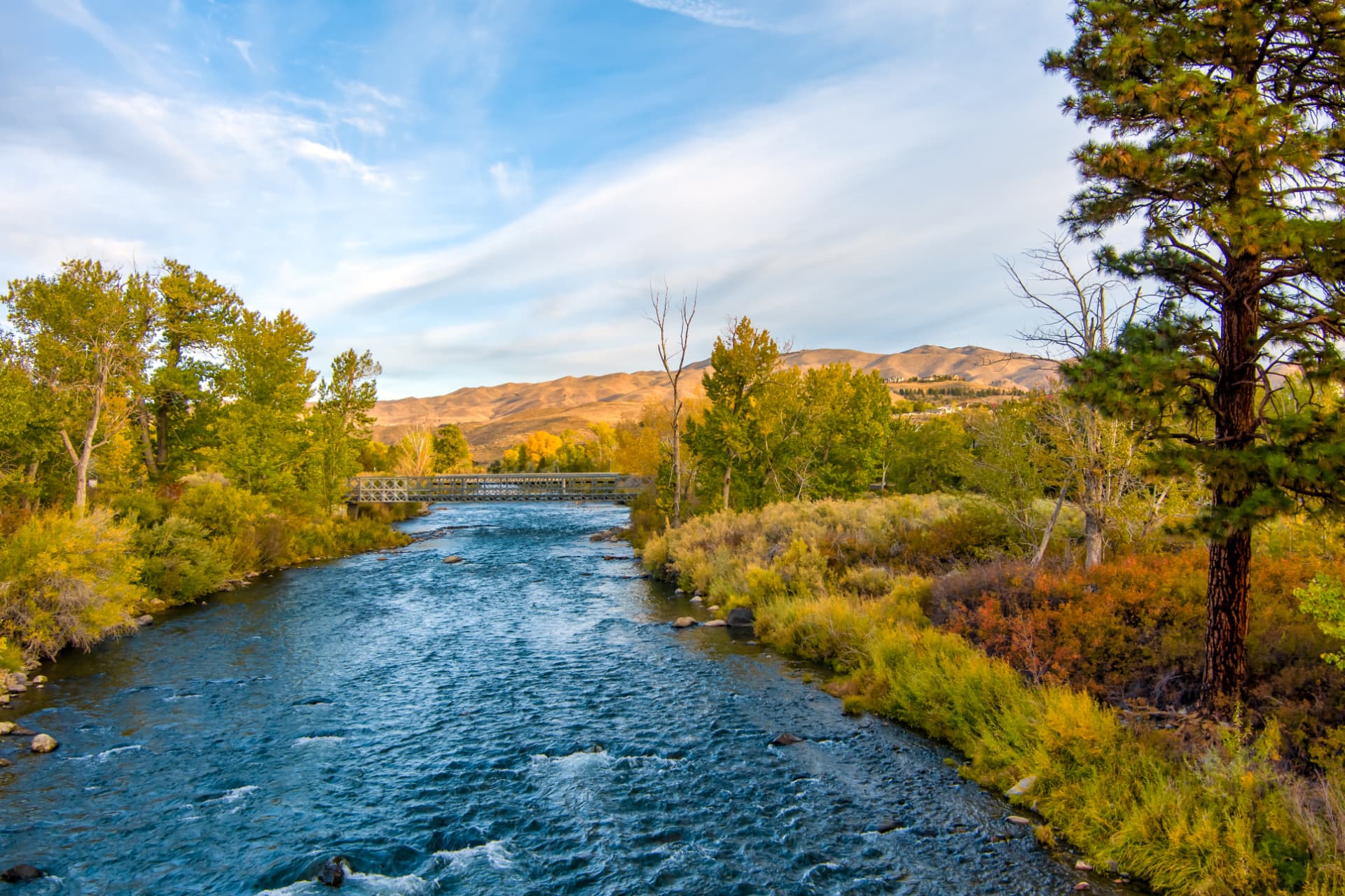 The Truckee River in autumn with golden cottonwoods and rolling foothills