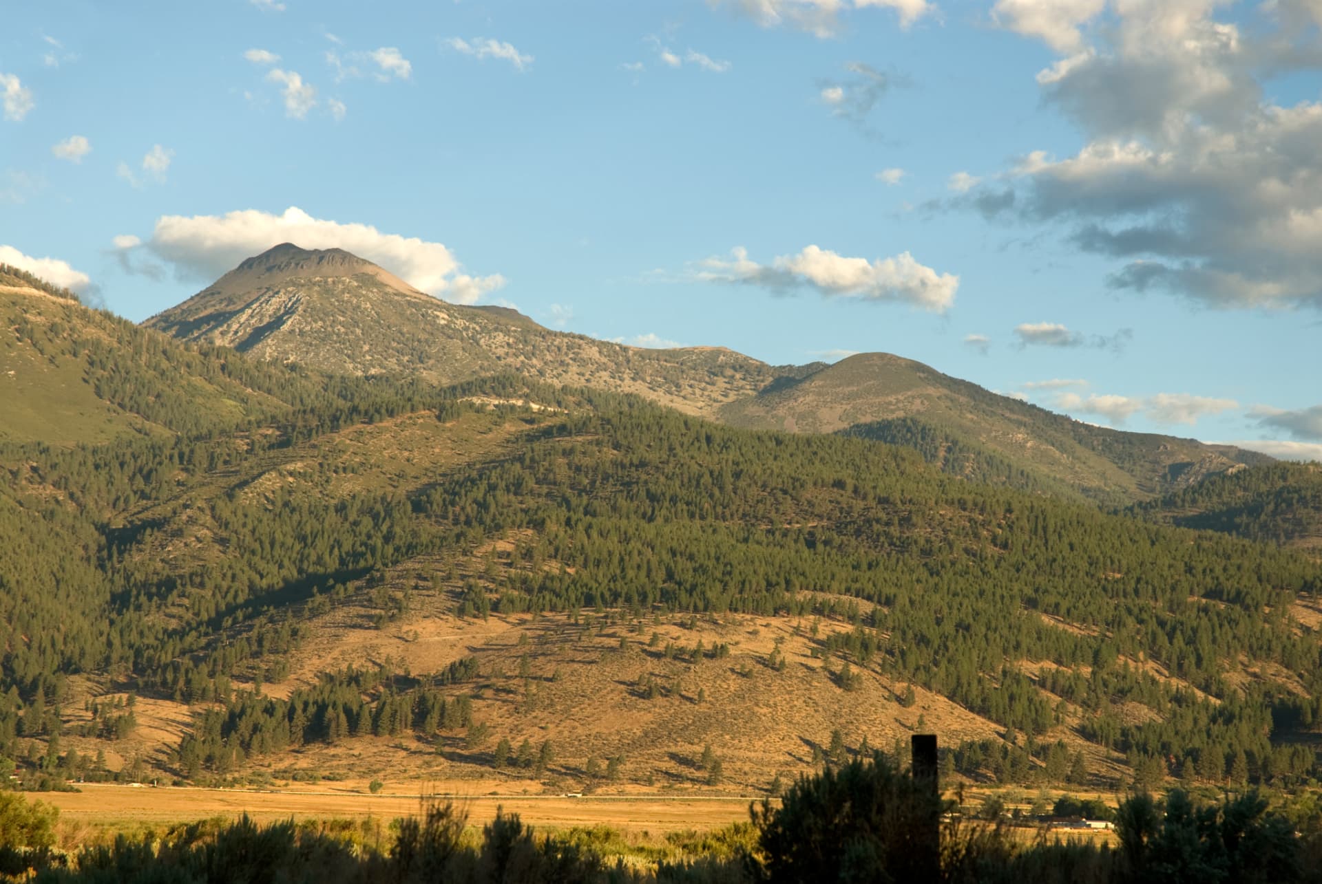 Pine-covered Sierra foothills rising to a rocky peak above a golden valley at sunset